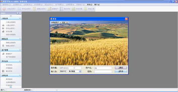 面業(yè)專家面粉廠管理系統(tǒng)V2012官方綠色版 實現(xiàn)高效生產(chǎn)與外圍設(shè)備智能管理